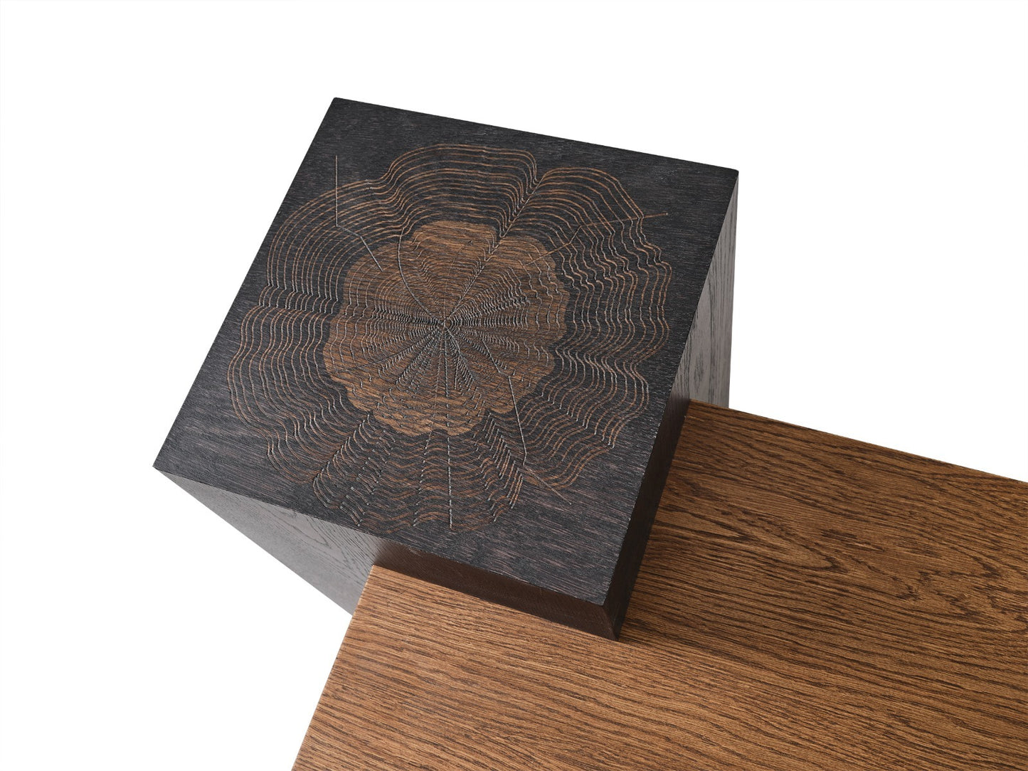Pablo Center Table by TabaHome