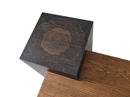 Pablo Center Table by TabaHome